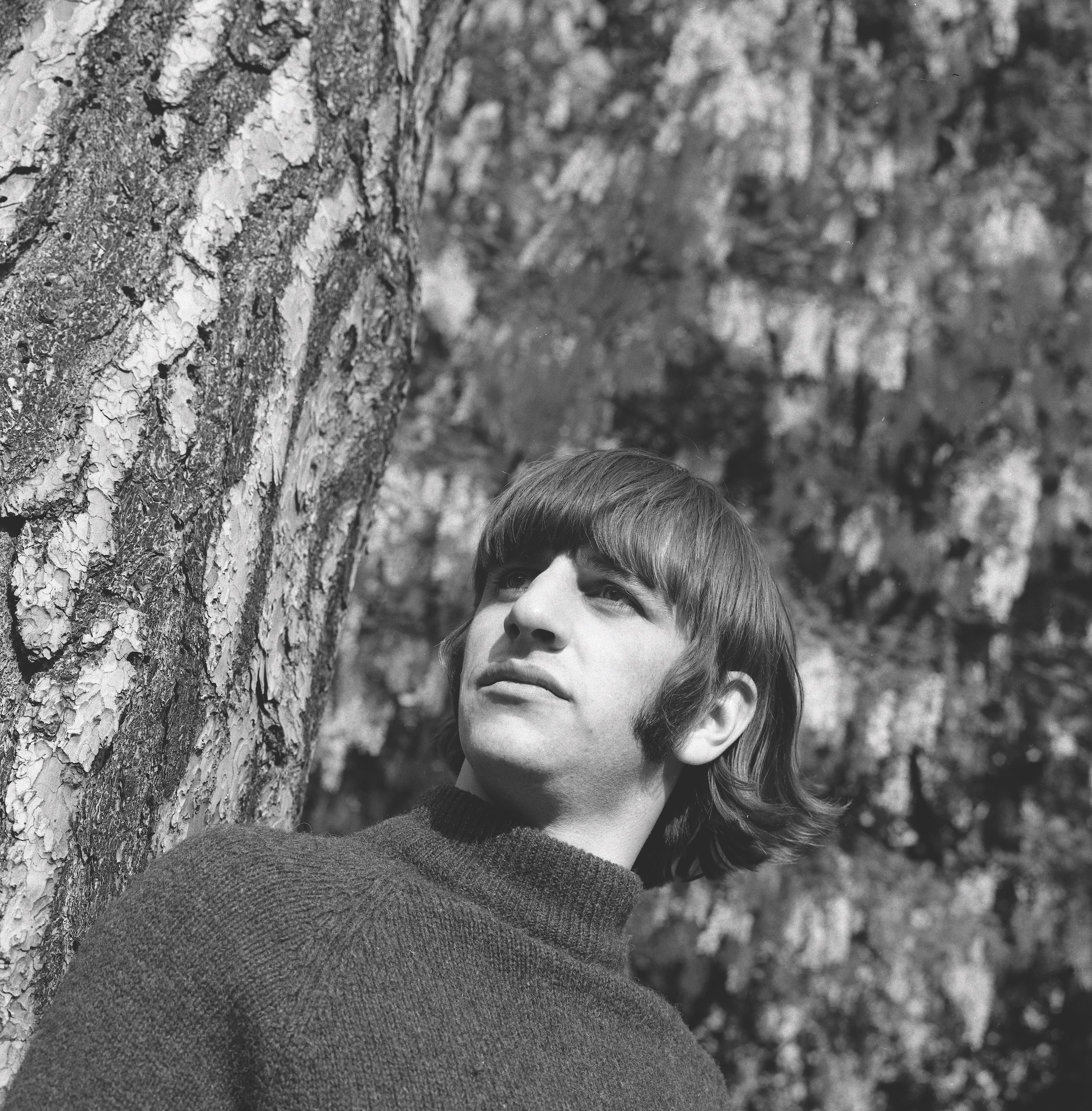 Ringo – BBPL Store